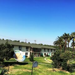 Отель 99 Palms Inn & Suites фото 7