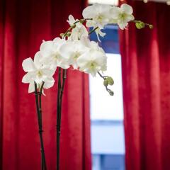 Hotel Migny Opera Montmartre комната для гостей фото 5