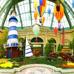 Отель Bellagio детские мероприятия
