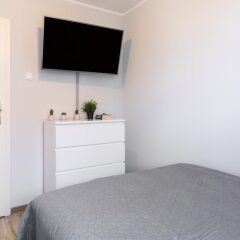 Отель Maya's Flats & Resorts- Podwale 32 Польша, Гданьск - отзывы, цены и фото номеров - забронировать отель Maya's Flats & Resorts- Podwale 32 онлайн удобства в номере фото 2