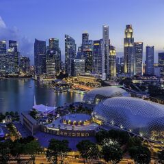 Отель Grand Hyatt Singapore Сингапур, Сингапур - 1 отзыв об отеле, цены и фото номеров - забронировать отель Grand Hyatt Singapore онлайн фото 8