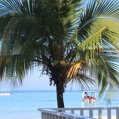 Отель Zanzi Beach Resort пляж фото 2