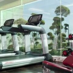 Отель Crowne Plaza Hotel New Delhi Okhla Индия, Нью-Дели - отзывы, цены и фото номеров - забронировать отель Crowne Plaza Hotel New Delhi Okhla онлайн фитнесс-зал фото 3