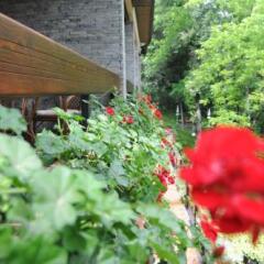 Отель Restaurant Dreri Албания, Тирана - отзывы, цены и фото номеров - забронировать отель Restaurant Dreri онлайн фото 13