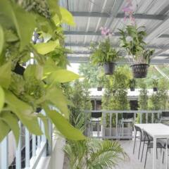 Guyasuka Hostel&Cafe фото 4