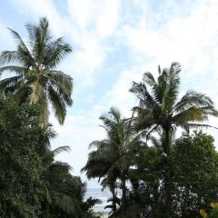 Отель Room Maangta 326 - Pernem Goa Гоа спортивное сооружение