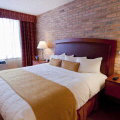 Отель Quality Hotel Downtown-Inn at False Creek Канада, Ванкувер - отзывы, цены и фото номеров - забронировать отель Quality Hotel Downtown-Inn at False Creek онлайн комната для гостей фото 2