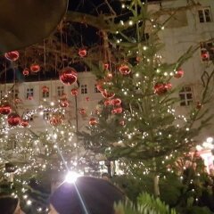 Отель B&B Mele d'Oro Терлано помещение для мероприятий фото 2