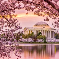 Отель L’Enfant Plaza Hotel США, Вашингтон - отзывы, цены и фото номеров - забронировать отель L’Enfant Plaza Hotel онлайн фото 7