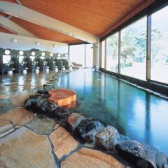 Yakushima Iwasaki Hotel Якусима бассейн фото 3