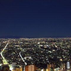 Отель Park Hyatt Tokyo Токио фото 5