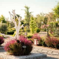 Отель Sentido Flora Garden - All Inclusive - Только для взрослых фото 13