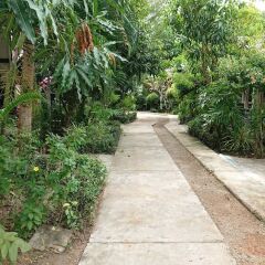 Отель The Krabi Forest Homestay фото 20