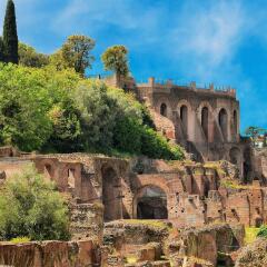 Отель Primus Roma Италия, Рим - отзывы, цены и фото номеров - забронировать отель Primus Roma онлайн фото 9