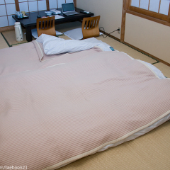 Отель Ryokan Tatsumi Хидзи удобства в номере