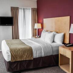 Comfort Suites Michigan Avenue Loop In Chicago United States Of