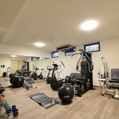 Отель Best Western Park Hotel Италия, Пьяченца - отзывы, цены и фото номеров - забронировать отель Best Western Park Hotel онлайн фитнесс-зал фото 4