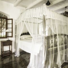 Отель Nisala Arana Boutique Hotel Шри-Ланка, Бентота - отзывы, цены и фото номеров - забронировать отель Nisala Arana Boutique Hotel онлайн помещение для мероприятий