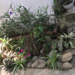 Отель Sunny Garden Homestay фото 6
