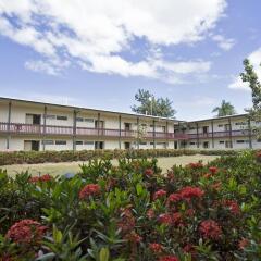Отель Fiji Gateway Вити-Леву интерьер отеля фото 3