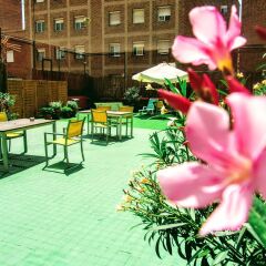 Feetup Yellow Nest Hostel Barcelona Барселона фото 5