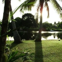 Отель Golden Palms Retreat Фиджи, Вити-Леву - отзывы, цены и фото номеров - забронировать отель Golden Palms Retreat онлайн приотельная территория