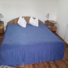 Vila Royal in Sighetu Marmatiei, Romania from 53$, photos, reviews - zenhotels.com guestroom