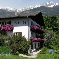 Отель Platterhof Тироло