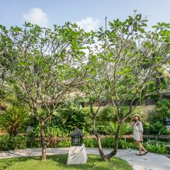 Отель Centara Koh Chang Tropicana Resort фото 8