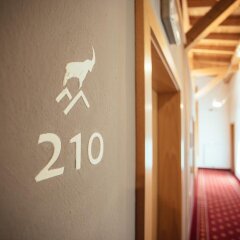 Hotel Wildschütz Горнолыжный курорт Ортлер интерьер отеля