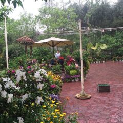 Отель Sapa Garden Bed and Breakfast Вьетнам, Шапа - отзывы, цены и фото номеров - забронировать отель Sapa Garden Bed and Breakfast онлайн фото 16