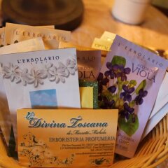 Отель Locanda La Mandragola Италия, Сан-Джиминьяно - отзывы, цены и фото номеров - забронировать отель Locanda La Mandragola онлайн с домашними животными