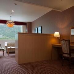Hotel Morinokaze Tateyama Тояма удобства в номере