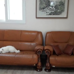 Отель Seoul Guest House с домашними животными