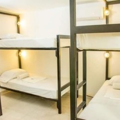 Отель Agavero Hostel Мексика, Канкун - отзывы, цены и фото номеров - забронировать отель Agavero Hostel онлайн комната для гостей фото 7