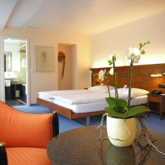 Отель Engimatt City & Garden Hotel Швейцария, Цюрих - 2 отзыва об отеле, цены и фото номеров - забронировать отель Engimatt City & Garden Hotel онлайн развлечения