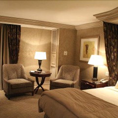 Delmon Palace Hotel комната для гостей фото 2