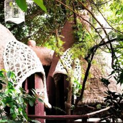 Отель Dao Anh Khanh Treehouse Ханой фото 12