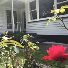 Отель Cambridge Cottage - Self Catering Accom фото 7
