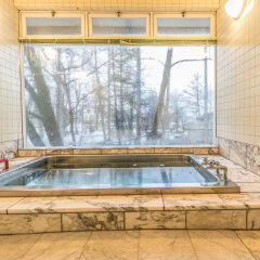 Petit Hotel Enchante Хакуба с домашними животными