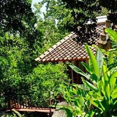 Отель Thipwimarn Resort Koh Tao Таиланд, Остров Тау - отзывы, цены и фото номеров - забронировать отель Thipwimarn Resort Koh Tao онлайн фото 7