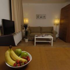 Отель Towns Apartments Австрия, Вена - отзывы, цены и фото номеров - забронировать отель Towns Apartments онлайн комната для гостей фото 3