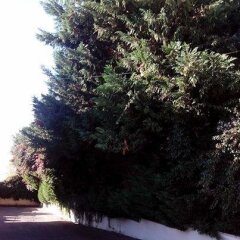 Отель B&B Il Giardino di Villa Anna Италия, Треказе - отзывы, цены и фото номеров - забронировать отель B&B Il Giardino di Villa Anna онлайн фото 17
