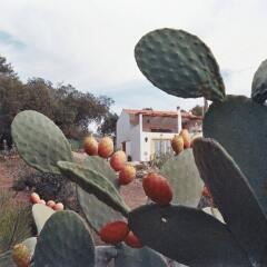 Отель Monte De Sao Sebastiao Do Vale Do Alcaide фото 3