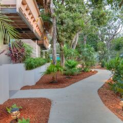 Отель Harbor Reef Beach & Surf Resort фото 8