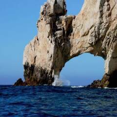 Отель Rated for Best Value in Cabo!! Nautical 1BR Suite Золотая зона Марина с домашними животными