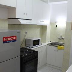 Апартаменты Spacious apartment in central Athens в номере фото 2
