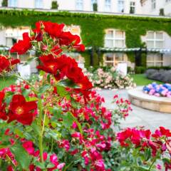 Отель Mandarin Oriental Prague Прага бассейн