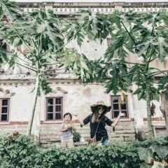 Отель Kinmen The Old House Homestay Китай, Сямынь - отзывы, цены и фото номеров - забронировать отель Kinmen The Old House Homestay онлайн фото 3