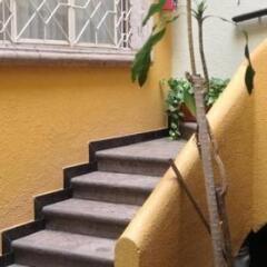 Отель Posada Hidalgo Inn Мексика, Гвадалахара - отзывы, цены и фото номеров - забронировать отель Posada Hidalgo Inn онлайн